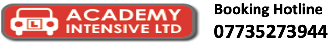 Academy Intensive Logo